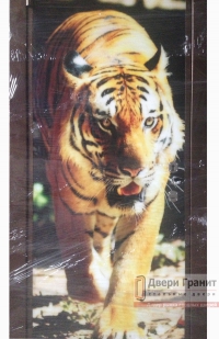 Красота и величие  тигра